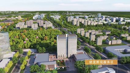 鶴壁東區規劃新藍圖 人工智能引領雙創服務新高地